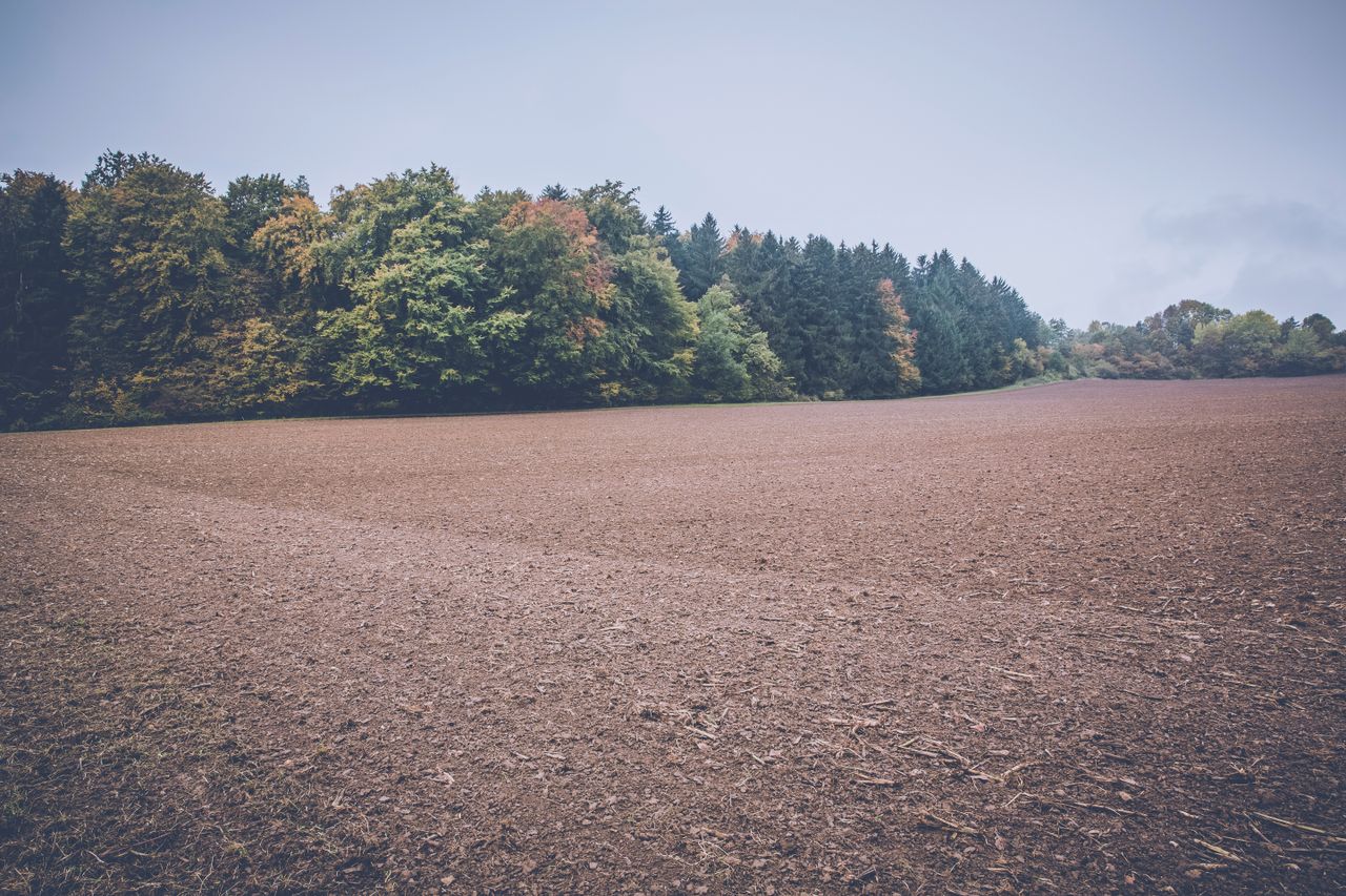 A serene view of rural farmland bordered by lush forest trees on an overcast day.